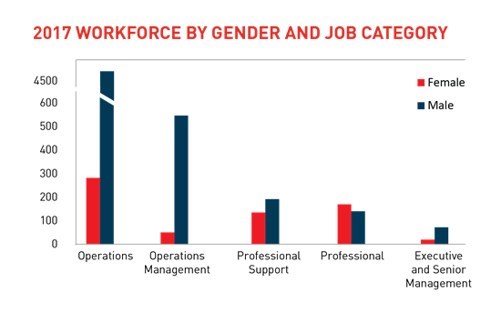 Work Force By Gender Job Category-01